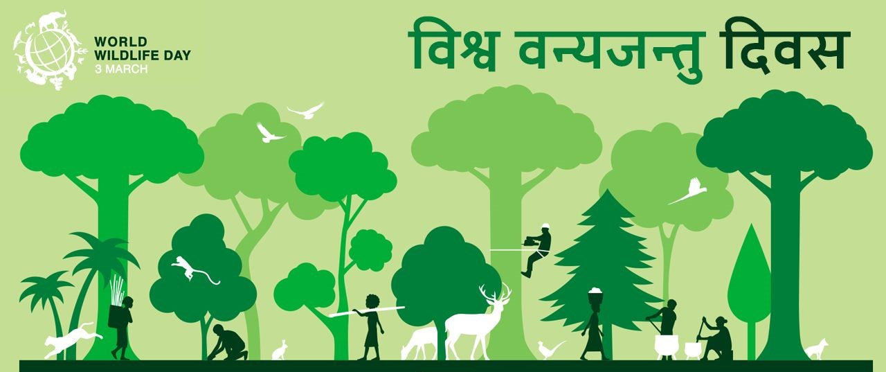 विश्व वन्यजन्तु दिवस मनाइँदै (फाइल फाेटाे)